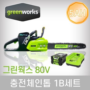 그린웍스 체인톱 80V 5AH 1B, 1개