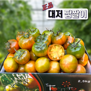 [단짠조합] 부산 대저 짭짤이 토마토 당일수확, 1박스, 1kg (로얄과 s~2s)