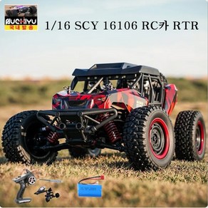 SCY 16106 RC 자동차 RTR 1/16 2.4G 4WD 사막 트럭 차량 모델 어린이 선물