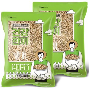 국산 현미찹쌀 10kg (5kg+5kg) 찰현미