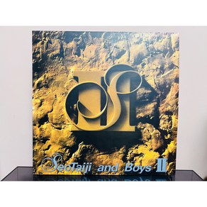 1993 서태지와아이들 2집 LP (음반 EX+ 자켓 EX+)