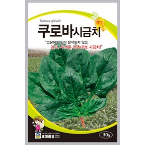 쿠로바시금치 30g 세계종묘 씨앗 시금치씨앗, 1개