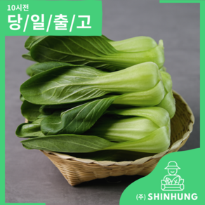 국산 청경채 [신흥유통][무료배송], 1개, 2kg