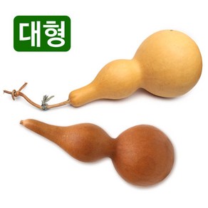 천연 통조롱박 중-대형 (통박 표주박 호롱박 전통장식 공예품