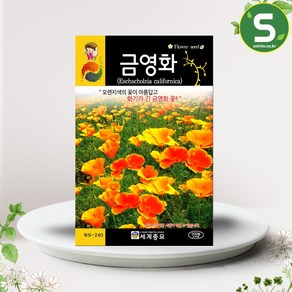 솔림텃밭몰 금영화씨앗 500립 금영화 꽃씨앗 꽃씨 야생화, 1개