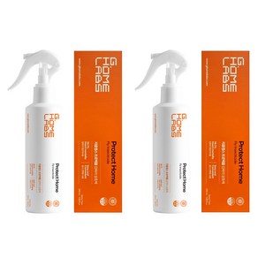 국보싸이언스 프로텍홈 파리 빈대 살충제 290ml, 2개입, 1개