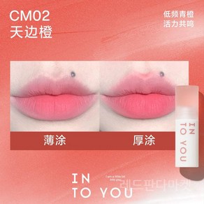 INTO YOU 인투유 클라우디 립 머드 Cloudy Lip Mud 매트 벨벳 틴트, CM02-Coal