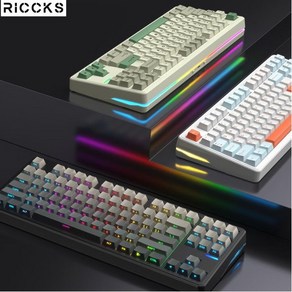 Riccks RS8 객제화 무선 기계식 게이밍 키보드 87키 GASKET구조 RGB램프 핫스왑diy, 제조사축, 태극축 4000mah, 블랙