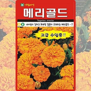 아람종묘 메리골드 씨앗 20립 오렌지 메리골드 꽃씨 야생화 종자, 1개