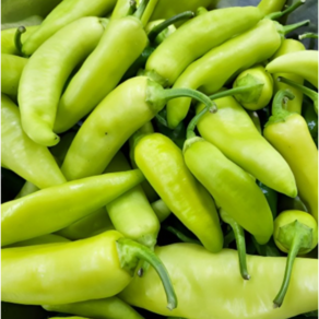 Green Pepper 산지직송 농부가 직접 키운 농가직송 당조고추 당일수확 최상품 1kg 2kg 당뇨고추 당고추1kg 혈당당고추