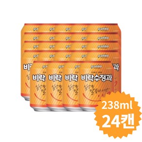 전통음료수 캔음료 비락수정과 238ml 24개 할머니선물 업소