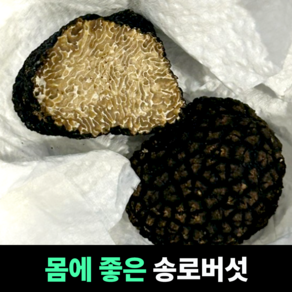 송로버섯 생트러플 블랙트러플, 1개, 50g(윈터)