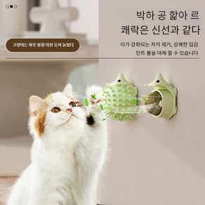 Runcats 고양이 캣닢 볼 간지럼 마사지 장난감, 1개, 블루