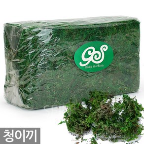 대용량 청이끼 약 640g - 이끼 화분 인테리어 데코레이션 장식 건조 원예 대형 데코 건조이끼 인조이끼 인공이끼 화분이끼