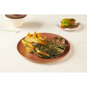 한백김치 인생 갓김치 1kg 2kg [100%국내산], 1개