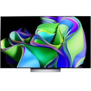 LG전자 4K UHD OLED evo TV 방문설치, 55인치, 스탠드형