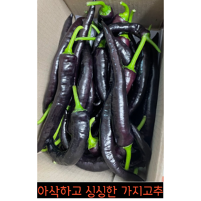 아삭하고 싱싱한 가지고추 500g 1kg 2kg 보라가지고추 미인고추 가지 고추 보라색고추 아삭이고추 가지고추씨앗 가지고추모종, 1개