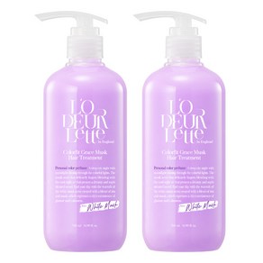 로더렛 컬러 핏 그레이스 머스크 헤어 트리트먼트 1000ml 2개, 1L