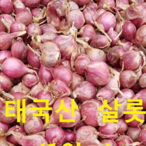 태국식품 태국양파 샬롯 미니양파 500g worldfood