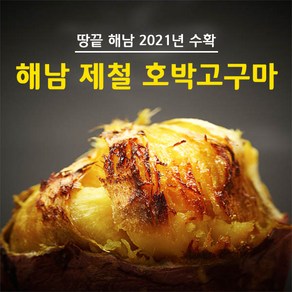 제철 해남 호박고구마, 꿀고구마 3kg 못난이, 1개