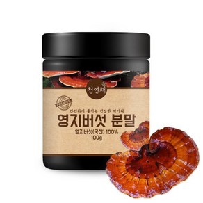 국산 영지버섯 분말 가루 100g, 1개