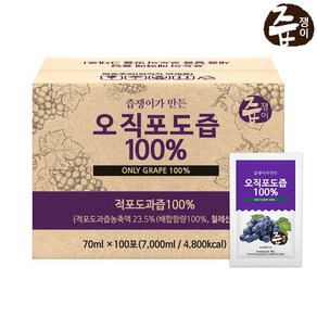 즙쟁이 포도즙 100% 100포 실속형, 7L, 1개