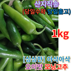 [[산지직송 / 당일발송 First place]] 국산 아삭아삭 <<오이맛 chili 모닝고추>> 모닝고추1키로 모닝고추2키로 풋고추 고추 아삭이고추 자연 찐 신선한고추