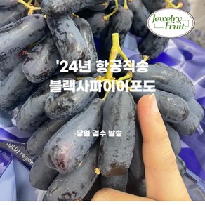 씨없는 블랙 사파이어포도 껍질째 먹는 탕후루 수입 사파이어 가지 포도 1kg 2kg 4kg 8.2kg