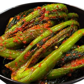 푸드지 여수 돌산 갓김치, 1개, 1kg