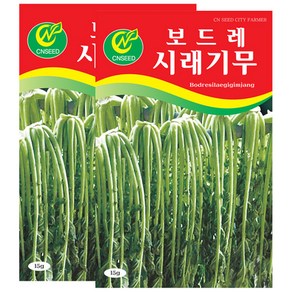 세인화분 시래기무 15g - 무씨앗 가을무 무씨, 2개