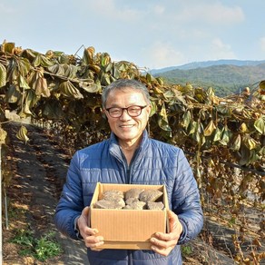 고창 산지직송 열매마 (하늘마), 1박스, 열매마 3kg