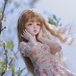 구체관절인형40cm 메이크업 풀세트 BJD 드레스 관절인형 Alice