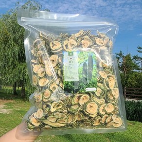 국내산 건여주 말린여주 여주차 24년 햇여주, 500g 1봉, 500g, 1개