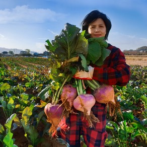 순무 강화도 연미농장 꿀순무, 1박스, 18kg