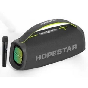 Hopesta A40 블루투스 스피커 120W 고출력 사운드 박스 야외 휴대용 무선 칼럼 음악 센터 서브우퍼 오디오 마이크 포함, 4) Gay