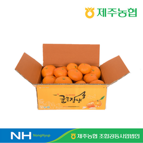 제농협 귤로장생 제주 햇 레드향 4kg, 없음, 1개