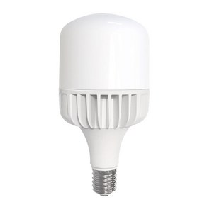 안트 led 보안등 80W 전구 고와트 E39 주광색, 1개