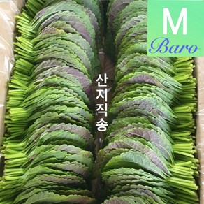 바로마켓 식당용깻잎1kg 2kg 밀양깻잎 산지직송