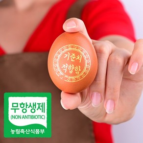 무항생제 계란 당일생산 초.신선 초란 HACCP 60구 청라골드계란