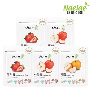 [내아이애] 아이과자 간식 동결건조 과일칩 5종 세트, 2개, 60g