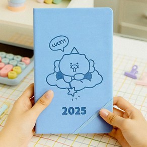 2025 카카오프렌즈 춘식이 요정 다이어리 연말 선물용 플래너 캐릭터 다이어리, 25춘식 다이어리 단품