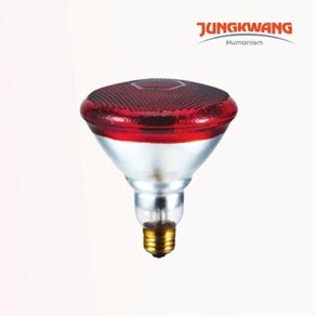 정광조명 JG LED 적외선 램프 PAR38 150W RUBY 온열 찜질기 메디컬 동물케어 보온 조사기, 1개