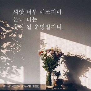 뮤즈 씨앗 너무 애쓰지마 레터링 감성 글귀 스티커 시트지, 흰색