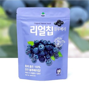 동결건조 블루베리 리얼칩20g 산마을, 20g, 1개