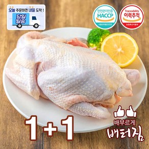 (배터짐) 쫄깃한 식감 노계닭 산란계 폐계닭 노계 (1.5kg내외*2개), 1.5kg, 2개