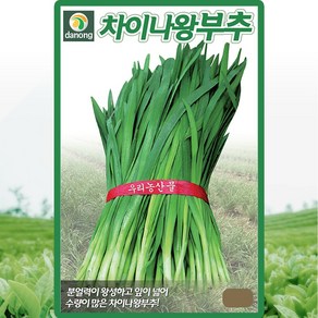 차이나왕부추씨앗 8g[CZ], 1개