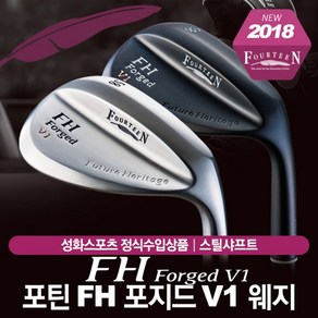 포틴 FH Foged V1 스틸 웨지 [TS-114wNSPRO950DG], 매트블랙 54도, NSPRO 950HT