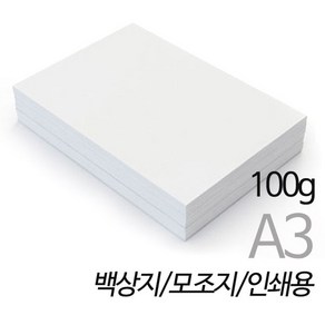 SW 백상지 인쇄용지 A3용지 100g 250매