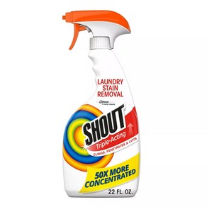 Shout 샤우트 트리플액팅 찌든얼룩 제거 스프레이 22oz(650ml) Tiple-Acting Laundy Stain Remove, 1개, 650ml