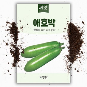 씨앗팜 애호박 씨앗 (10립)